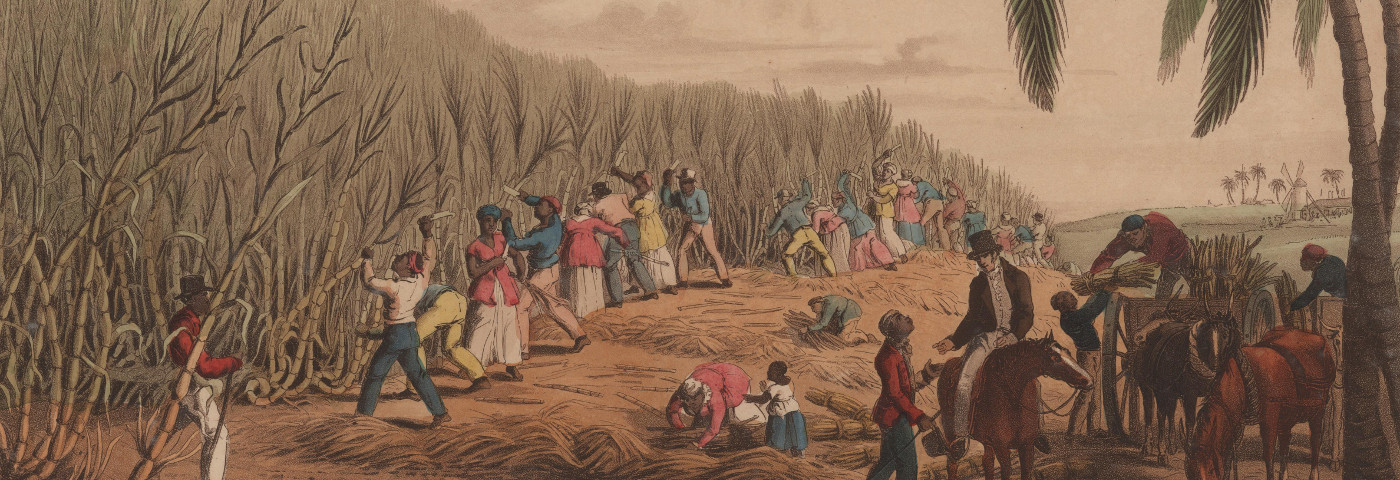 Slave voyages: the transatlantic trade in enslaved Africans